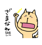 幡多弁を喋るとらねこちゃん（個別スタンプ：7）