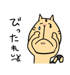 幡多弁を喋るとらねこちゃん（個別スタンプ：12）