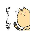 幡多弁を喋るとらねこちゃん（個別スタンプ：13）