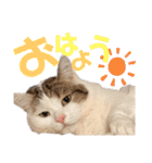 尚貴_stamp（個別スタンプ：2）