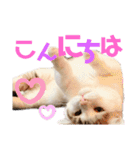 尚貴_stamp（個別スタンプ：3）
