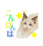 尚貴_stamp（個別スタンプ：4）