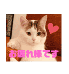 尚貴_stamp（個別スタンプ：5）