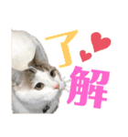 尚貴_stamp（個別スタンプ：6）