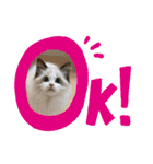 尚貴_stamp（個別スタンプ：7）