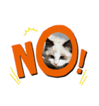 尚貴_stamp（個別スタンプ：8）