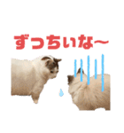 尚貴_stamp（個別スタンプ：9）