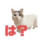 尚貴_stamp（個別スタンプ：10）