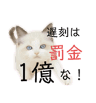 尚貴_stamp（個別スタンプ：11）