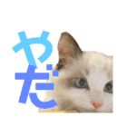 尚貴_stamp（個別スタンプ：12）
