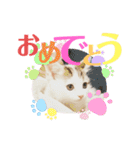 尚貴_stamp（個別スタンプ：14）