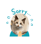 尚貴_stamp（個別スタンプ：16）