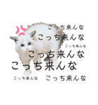 尚貴_stamp（個別スタンプ：18）