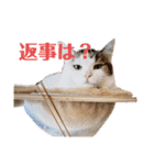 尚貴_stamp（個別スタンプ：19）