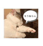 尚貴_stamp（個別スタンプ：20）