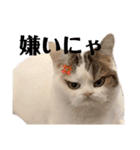 尚貴_stamp（個別スタンプ：21）