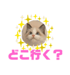 尚貴_stamp（個別スタンプ：22）