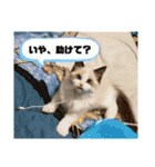 尚貴_stamp（個別スタンプ：23）