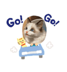 尚貴_stamp（個別スタンプ：24）