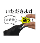 ペット記録チャンネル お楽しみスタンプ（個別スタンプ：7）