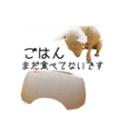 ばむの日常3(ミニチュアブルテリア)（個別スタンプ：4）