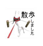 ばむの日常3(ミニチュアブルテリア)（個別スタンプ：6）