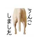 ばむの日常3(ミニチュアブルテリア)（個別スタンプ：25）