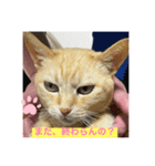がんばれ、れもんちゃん（個別スタンプ：1）