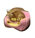 がんばれ、れもんちゃん（個別スタンプ：6）