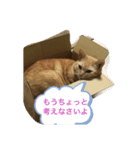 がんばれ、れもんちゃん2（個別スタンプ：2）