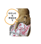 がんばれ、れもんちゃん2（個別スタンプ：3）