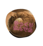 がんばれ、れもんちゃん2（個別スタンプ：5）