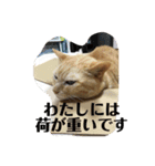 がんばれ、れもんちゃん2（個別スタンプ：8）