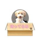モコみ（個別スタンプ：1）