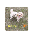 モコみ（個別スタンプ：4）