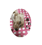 モコみ（個別スタンプ：7）