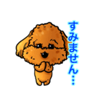 犬のスタンプ トイプードル（個別スタンプ：3）