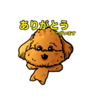 犬のスタンプ トイプードル（個別スタンプ：5）