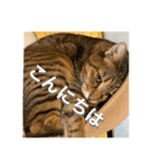 りくのほのぼの生活（個別スタンプ：1）
