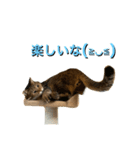 りくのほのぼの生活（個別スタンプ：2）