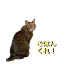 りくのほのぼの生活（個別スタンプ：8）