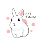 もふもふうさぎのすたんぷ（個別スタンプ：4）