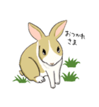 もふもふうさぎのすたんぷ（個別スタンプ：5）