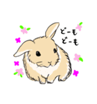 もふもふうさぎのすたんぷ（個別スタンプ：7）