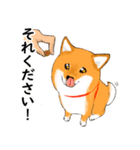 柴犬そら feat. にんじん（個別スタンプ：10）