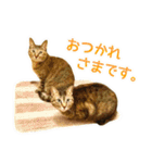 かわヨな猫ちゃんスタンプ4（個別スタンプ：4）