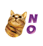かわヨな猫ちゃんスタンプ4（個別スタンプ：13）