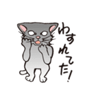 ダルねこ日常 vol.2（個別スタンプ：8）