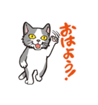 ダルねこ日常 vol.2（個別スタンプ：12）