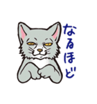 ダルねこ日常 vol.2（個別スタンプ：13）